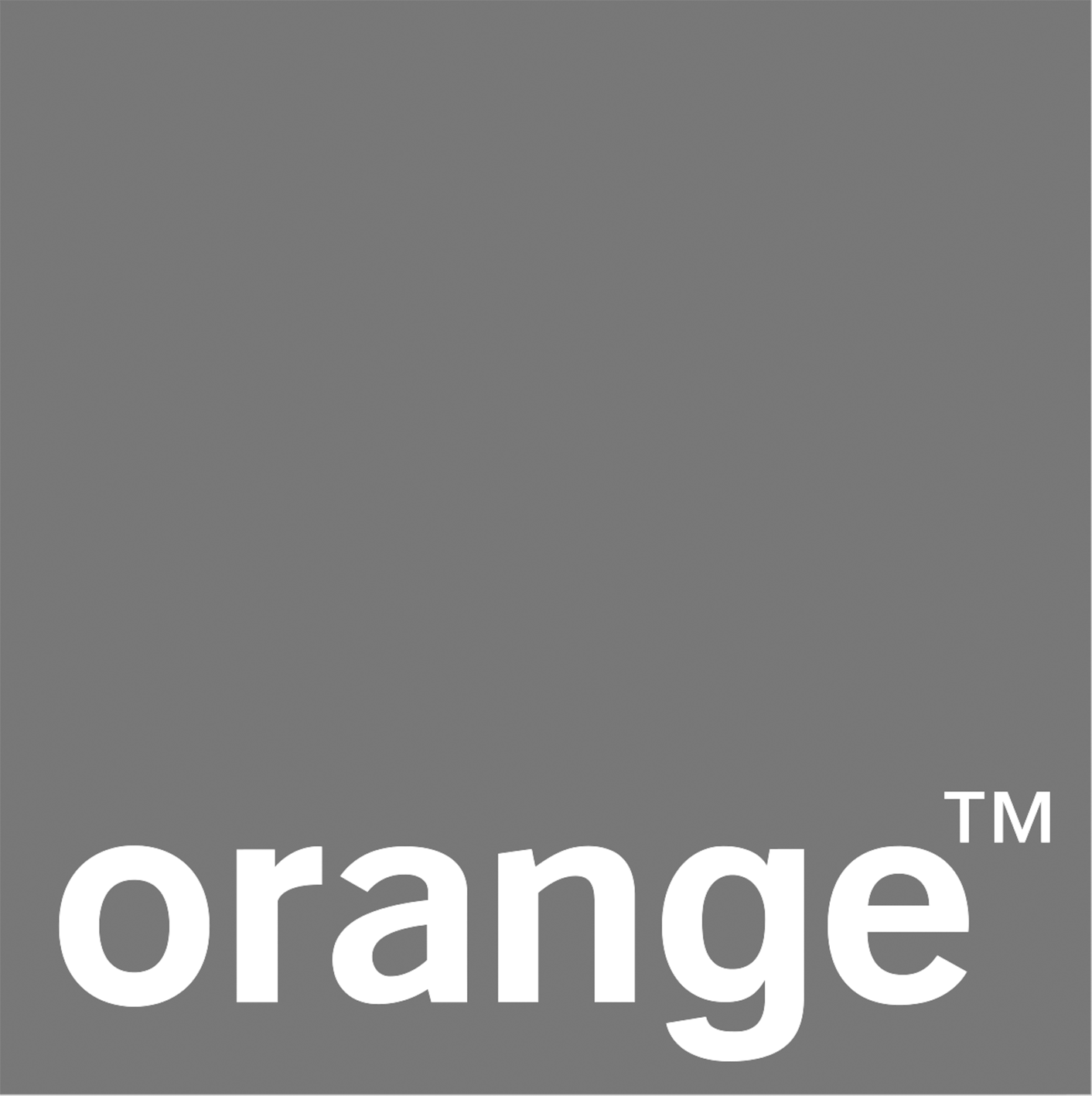FTS GRUOP Partner Orange