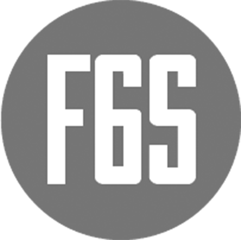 FTS GRUOP Partner F65